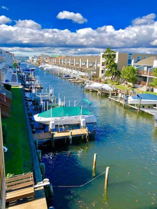 Lucy'S Bayside Paradise Ocean City Exterior foto